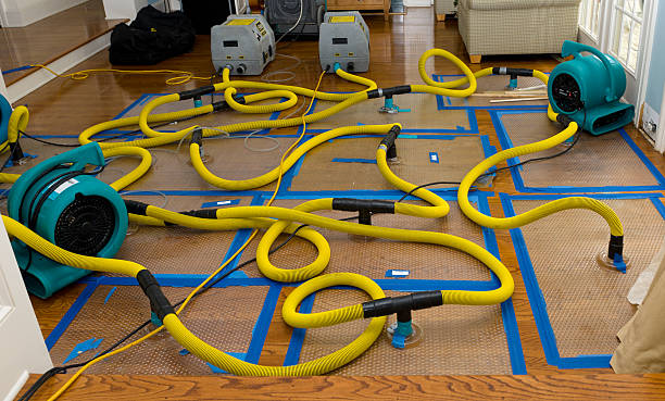 Professional Basement Flood Cleanup technician working in Great Meadows, NJ