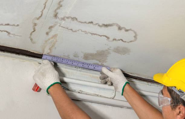 Affordable Water Damage Repair solutions in Great Meadows, NJ
